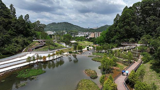 游客遭遇悲剧：潜水时遭鲨鱼咬头事件深度剖析